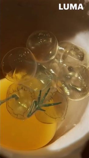 Embryonic Development