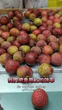 The Untold Truth About Black Leaf Lychees: Taiwan’s Most “Misunderstood” Fruit is Actually Summer...