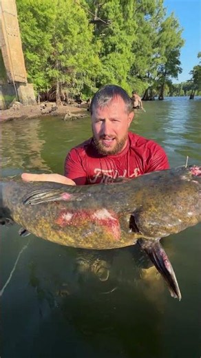 He Caught A BRUTE Of A Flathead Catfish