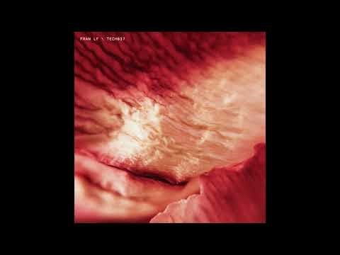 Fran LF — Miràge [TECH037]