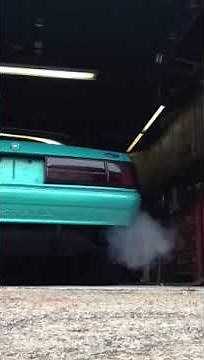 MUSTANG NOTCHBACK F303 CAM! SOUNDS HAIRY!