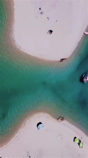 Εφημερίδα Κασσάνδρα on Instagram: "«Στη μέση του χειμώνα, ανακάλυψα τελικά ότι μέσα μου υπάρχει ένα ανίκητο καλοκαίρι.» Γλαρόκαβος ❤️💖💙💖❤️"