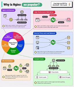 114 reactions · 43 shares | Why is NGINX so popular? #cybersecurity #networkengineer #networkengineers #networkengineering #networkadmin #networkadministrator #networkyy | It Networks | Facebook