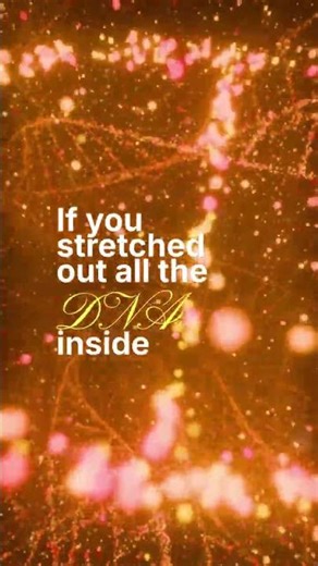 Your DNA Is Longer Than You Think 🧬🤯