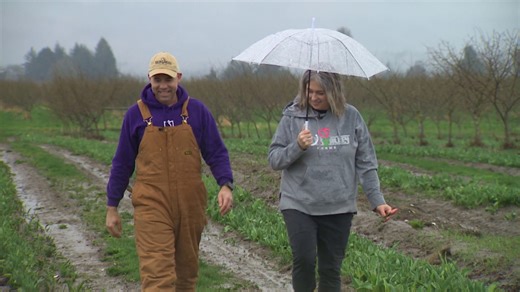 Tulip Festival: Colorblind farmer welcomes world to 'see' Skagit Valley