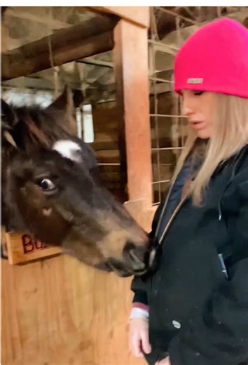 Funny Horse Moments That Will Make You Laugh