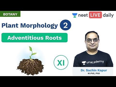 Plant Morphology - L2 | Adventitious Roots | Class 11 | Unacademy NEET | Botany | Sachin Sir