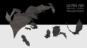 Bat Swarm Transition - 4K