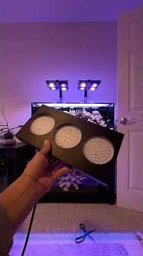 Nicrew reef led GEN 2!