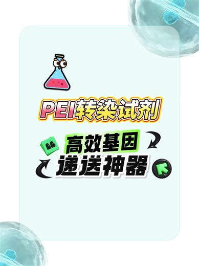 《PEI转染试剂》高效基因递送神器快速了解