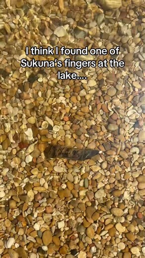 Sukuna's Finger Discovery in Shibuya: What’s Happening?