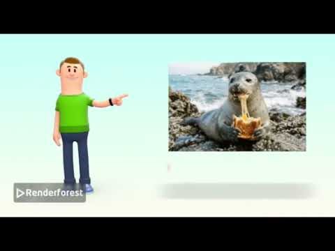 Renderforest meme pat 1