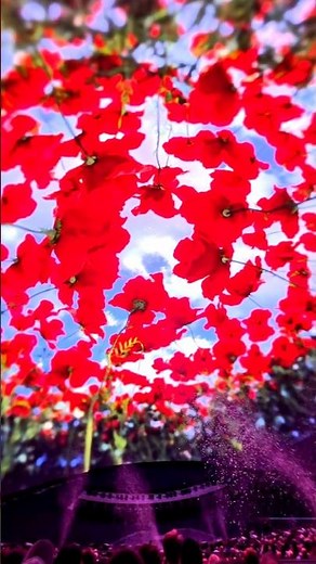 The Sphere | Las Vegas