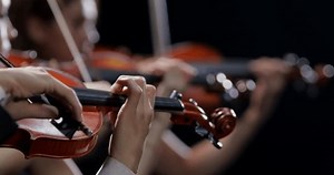 Close-up Hands Musician Playing Classical Violin Stock Footage Video (100% Royalty-free) 3429194339 | Shutterstock