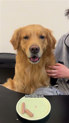 Transforming Parent-Child Dynamics: A Child's Attitude Revolution