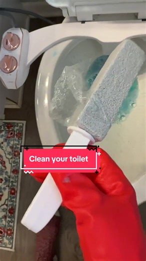 Revitalize Your Toilet with Pumice Stone Cleaning