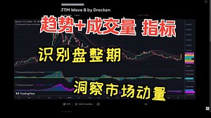 掌握交易秘诀：Volumatic VI 指标与 TTM Wave 指标实战策略大揭秘