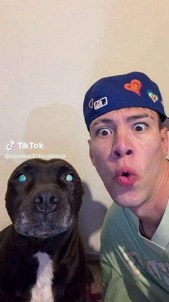 lengüetazos 👅 bien RABIOSOS 🤣❤️🐶 • • • • • • • #pitbull #labradorretriever #viralvideo #funnyvideos #fypシ゚viral