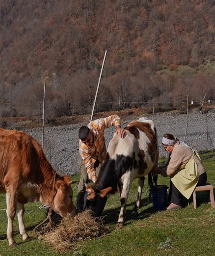 How to Make Cheese at Home_ Old Country Cheese-Making Recipe #fblife | Village Roasting