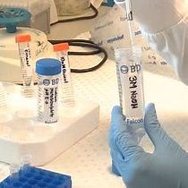 Video: DNA Methylation Analysis