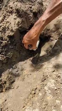 Praising God for a broken pipe.
