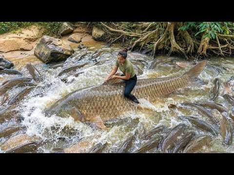 Catching MONSTER Fish by Hand with Young children & Single mom to Sell at Market