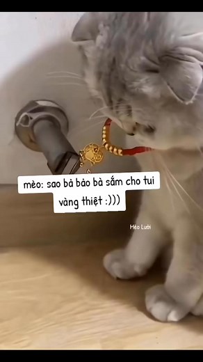 🤣🤣 | Like Video