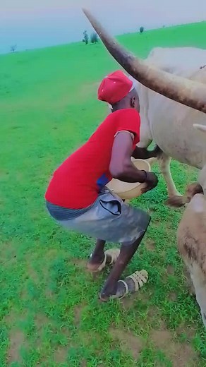 Vidéos de Ibra diagne (@ibra.diagne6) avec son original - Ablaye dione kelew Téo