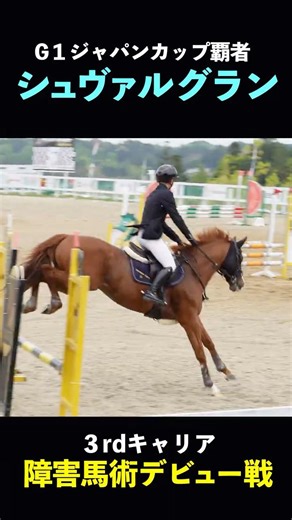 G1馬シュヴァルグラン "第三のキャリア"障害馬術デビュー戦！#jra #horse #horseriding #馬術 #equestrian #シュヴァルグラン #ウマ娘プリティーダービー