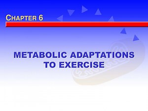 METABOLIC ADAPTATIONS TO EXERCISE - SlideServe
