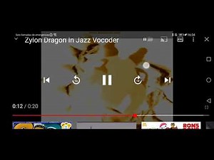 Zylon Dragon Crying In Jazz Vocoder