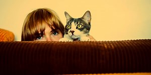 6 Sleepiest Zodiac Signs Who Take A Lot Of Naps