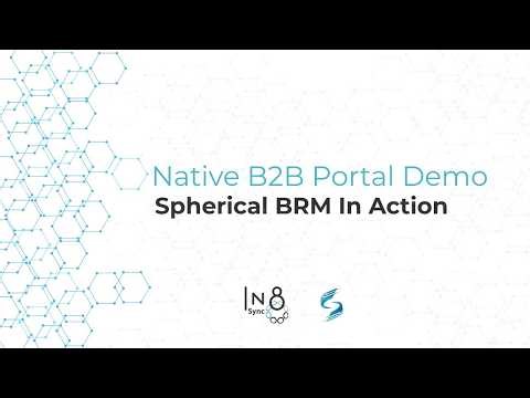 NetSuite ‑ Native B2B Portal Demo: Spherical BRM In Action