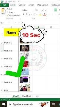 Insert Multiple Pictures in Excel & Fit to Cells in Seconds (No VBA)