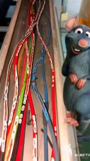 What happens when rat cut wire | Rat cut wire | electric shot cricket"#electrical