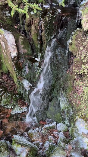 Norwegen, Norden, Vikinger-Vibes, Natur