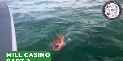 Outdoor GPS 8/25 The Mill Casino