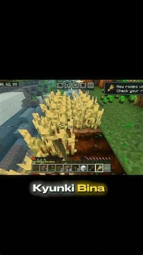 Food Se Survival Improve Karo 😳 | Minecraft Beginner Guide Part 3