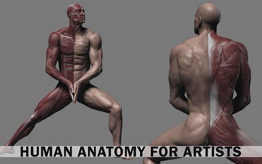 【ZBrush】人体解剖学雕刻艺术制作训练教程(中英双字)