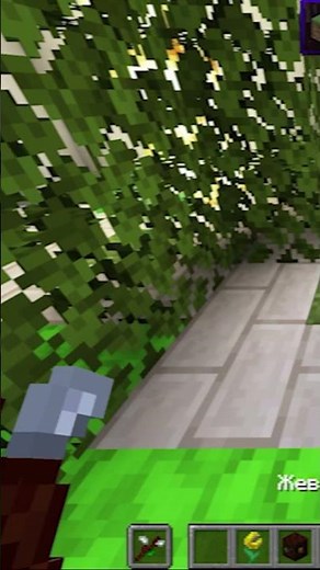 Minecraft, НО МАГИЯ СТАЛА РЕАЛЬНОЙ! ➤ Обзор мода Botania 1.20.1