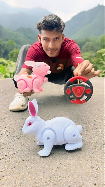 Rc Remote Wala 2 Ta Jungle Rabbit Unboxing and Testing 🥹