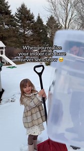 384K views · 8.7K reactions | Clover and Winston’s first time seeing snow! 凉❄️ | Brittikitty | Facebook