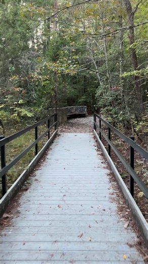 What is happening at the end of this pathway? Something is going on? @topfans | Morgan County Today