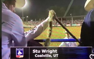 23 reactions | #121 Hutterite sold by Incredi- Bull Rodeo (Parker...