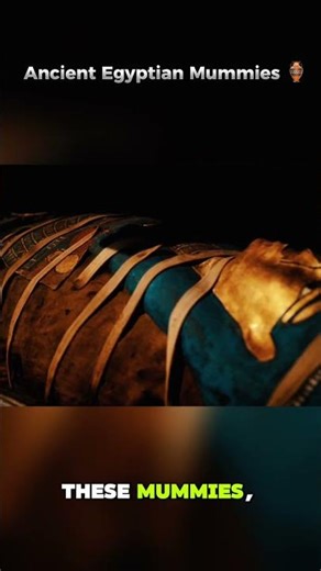 Ancient Egyptian Mummies 🏺🇱🇷 #EgyptianMummies #AncientEgypt #egypt #mummies #ancient #usa