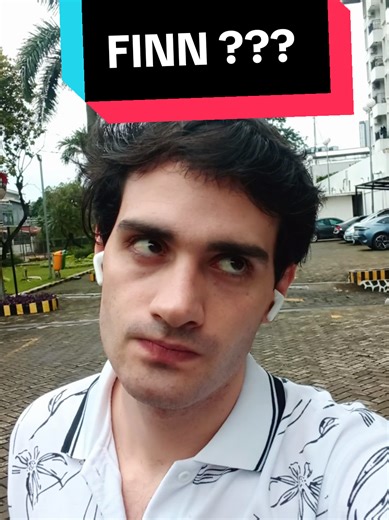 Banyak orang bilang aku mirip Finn Wolfhard.... Aku cek di internet dan... Itu sama sekali tidak benar 😭😭😭😭😭😭 #fyp #fypindonesia #indonesia🇮🇩 #bule