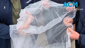 Your fruit netting could be illegal and cop you a $395 fine