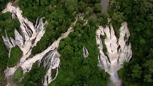 14K views · 427 reactions | Rainforests sustain us. They help...