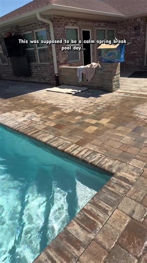 I really thought we were about to have a peaceful pool day… 🫠🐾 #dogsoftiktok #labrador #funnyvideo #dog @Sunchill Link in Bio $50 off on Sunchill if you click code in bio