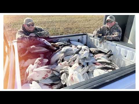 Out BEST Alberta Waterfowling Trio EVER 2024